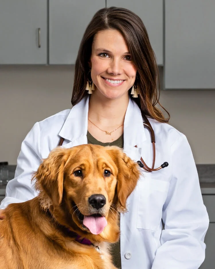 Ashley Crossroads Animal Hospital veterinarian