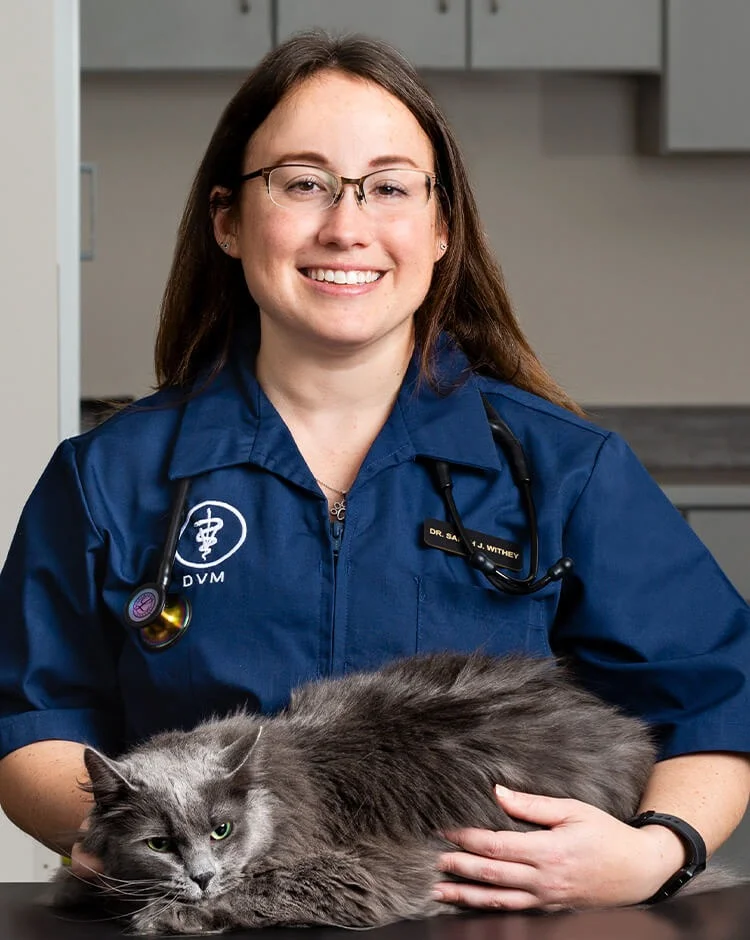 Sarah - Crossroads Animal Hospital veterinarian