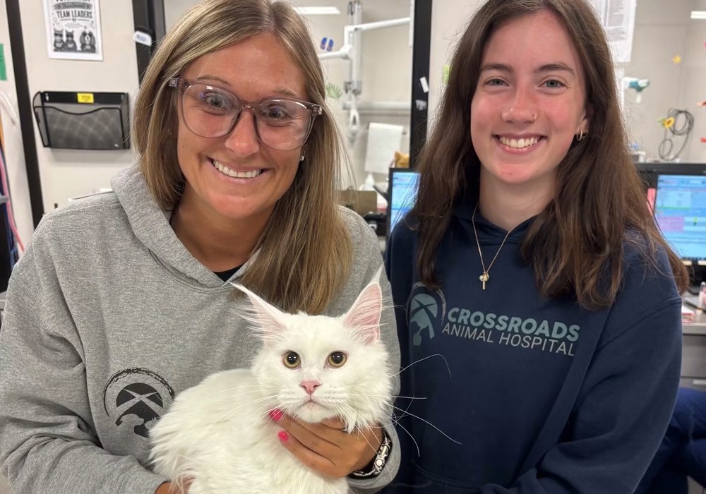 two women holding white cat
